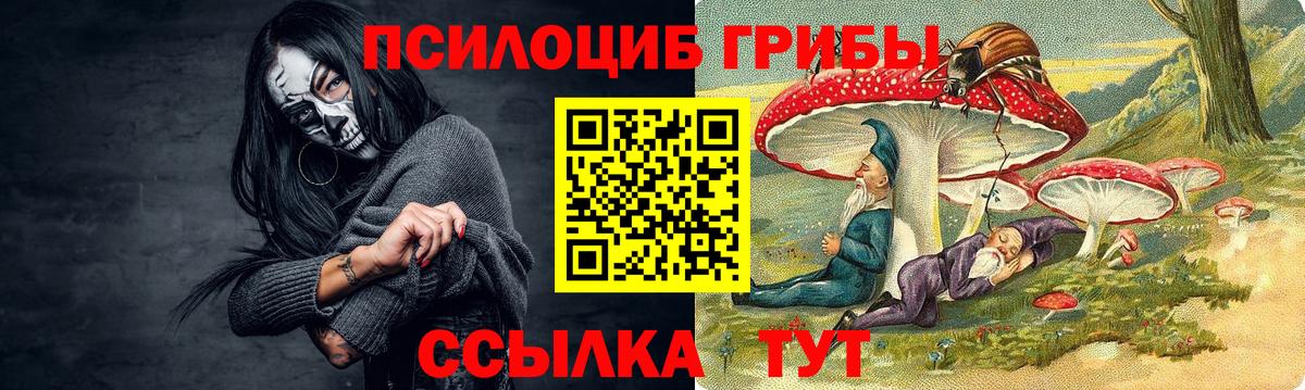 Жигулёвск  Псилоцибиновые грибы GOLDEN TEACHER  Вход с VPN 